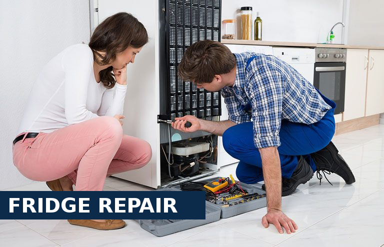 Fridge Repair Shepherd's Bush